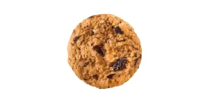 subway oatmeal raisin cookies